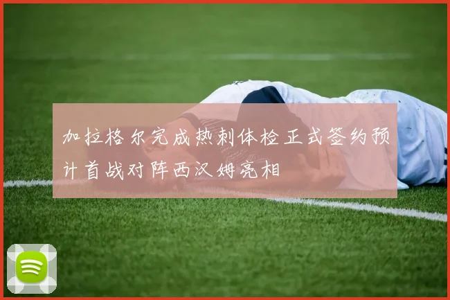 加拉格尔完成热刺体检正式签约预计首战对阵西汉姆亮相